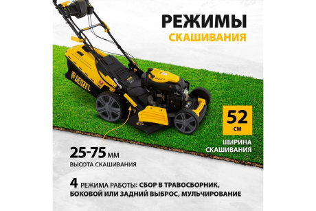 Купить Газонокосилка 58806 GLD-520 SP-VE 196 куб.см  шир.52 см  60 л// Denzel фото №20